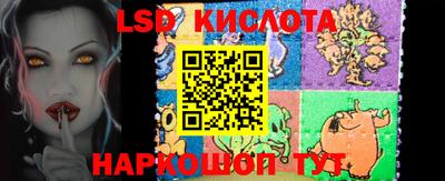 PSILOCYBIN Обнинск
