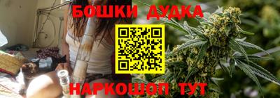 амф Обь