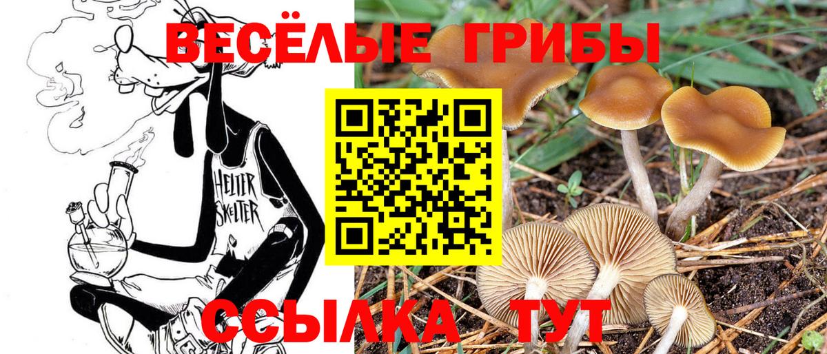 Псилоцибиновые грибы мухоморы  Вход с VPN  Сегежа 